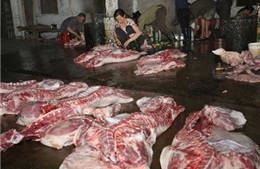 Phát hiện cơ sở giết mổ lợn chết đưa ra thị trường tiêu thụ  